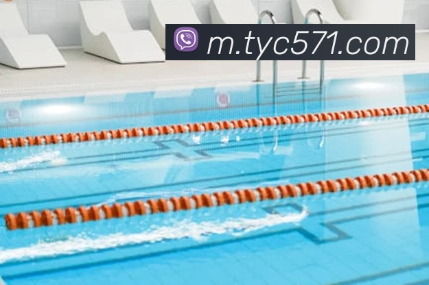 太阳城APP 封面图